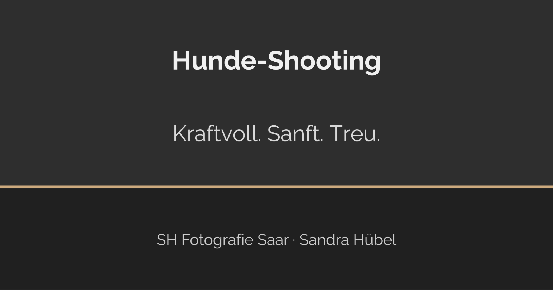 Ein sanfter Riese mit Herz